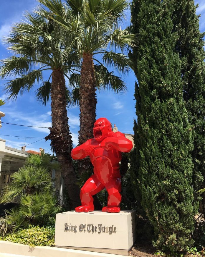 king of the jungle